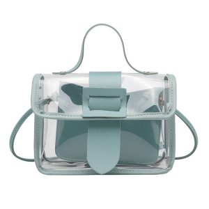 petit sac à main transparent