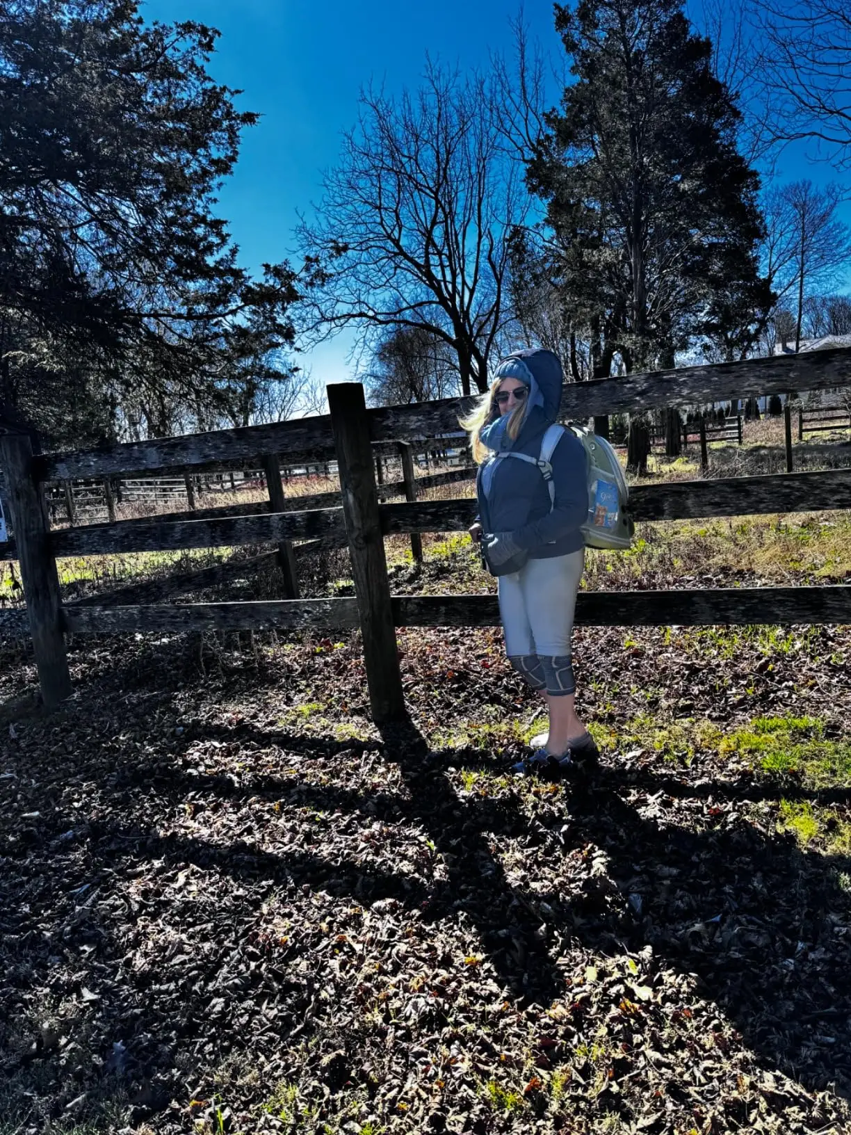 sac à dos sécurisé pour chiens